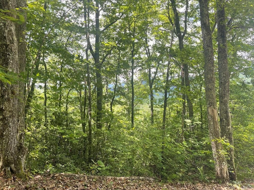 Land with Mountain Views