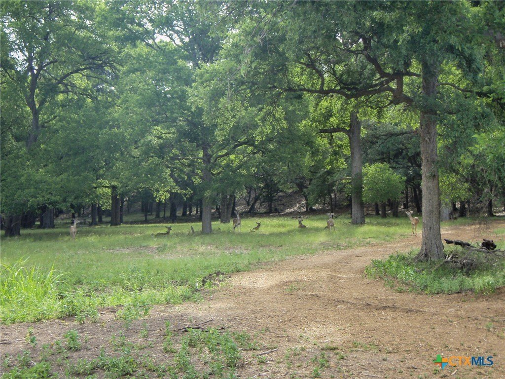 Picture 24