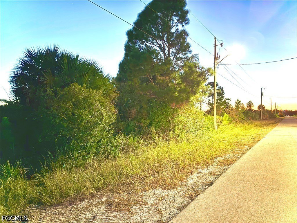 Picture 2