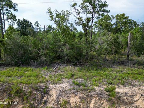 LAND - Chipley, FL