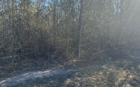 Picture 3