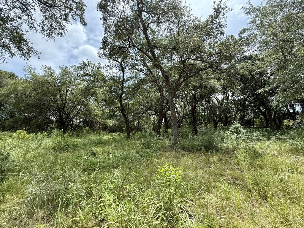 Picture 14