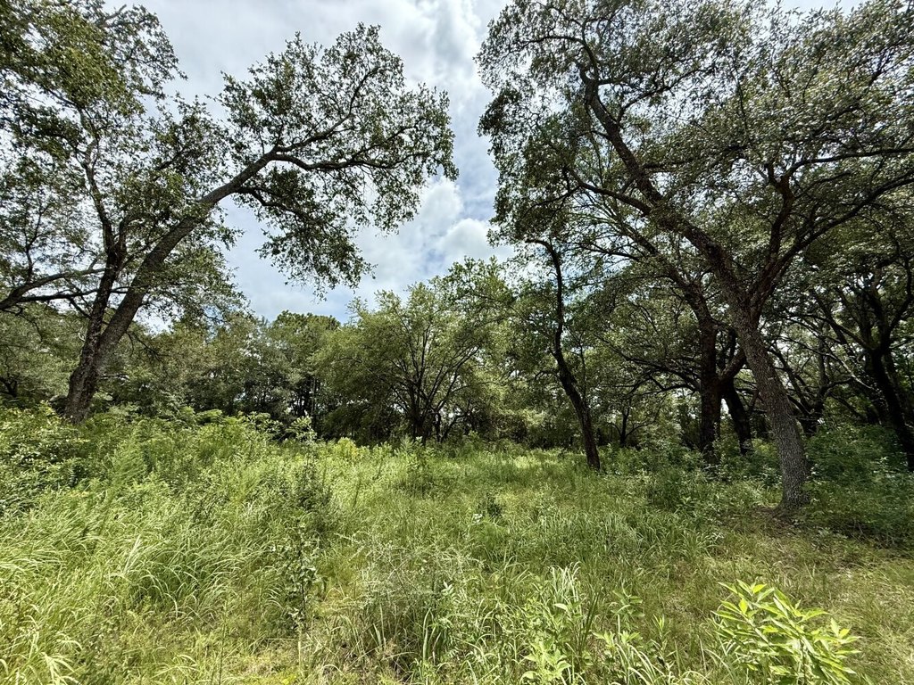 Picture 15