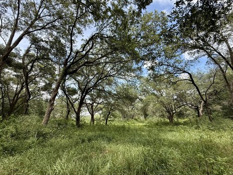 Multi-Use Land Tract with Creek