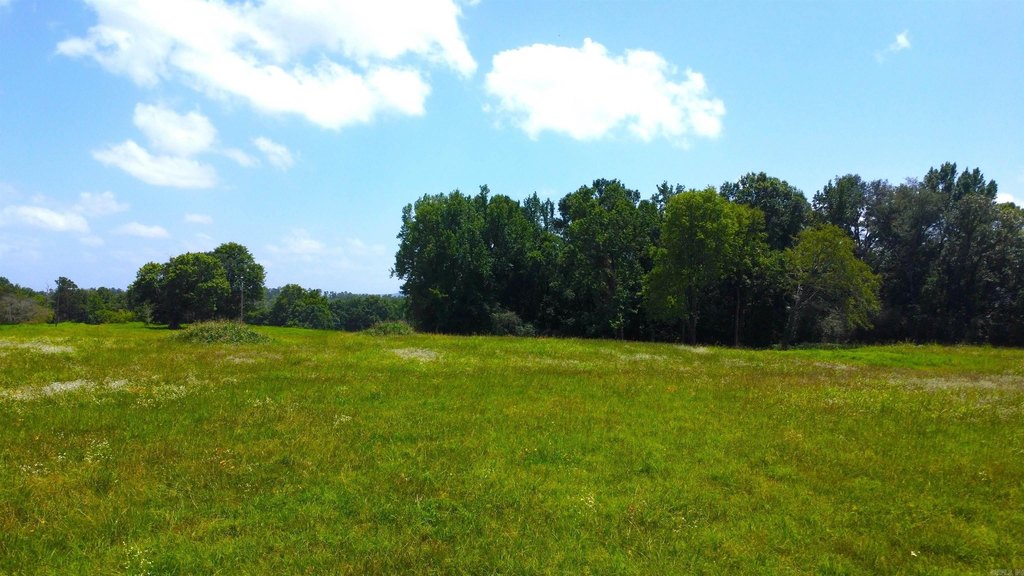 Picture 47