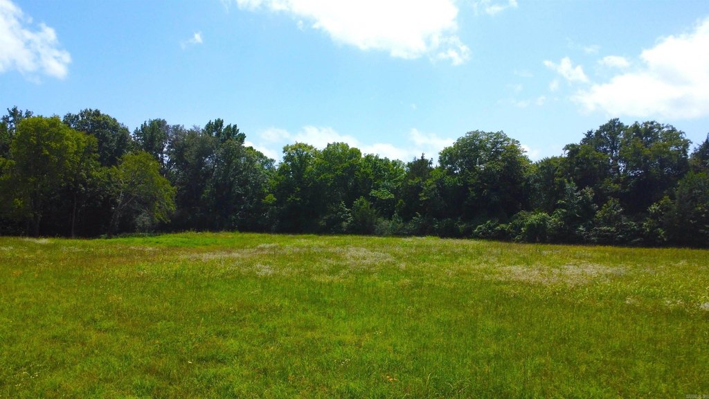 Picture 45
