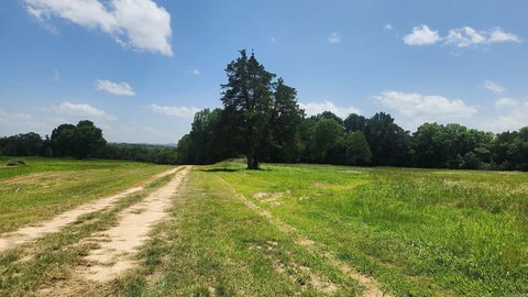 LAND - Story, AR