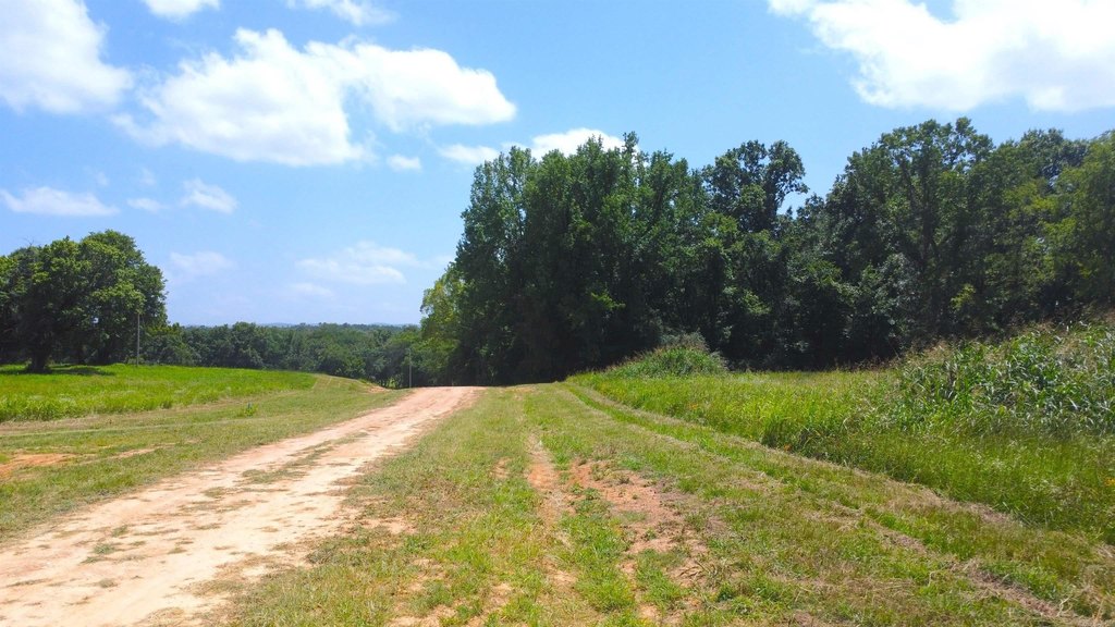 Picture 19