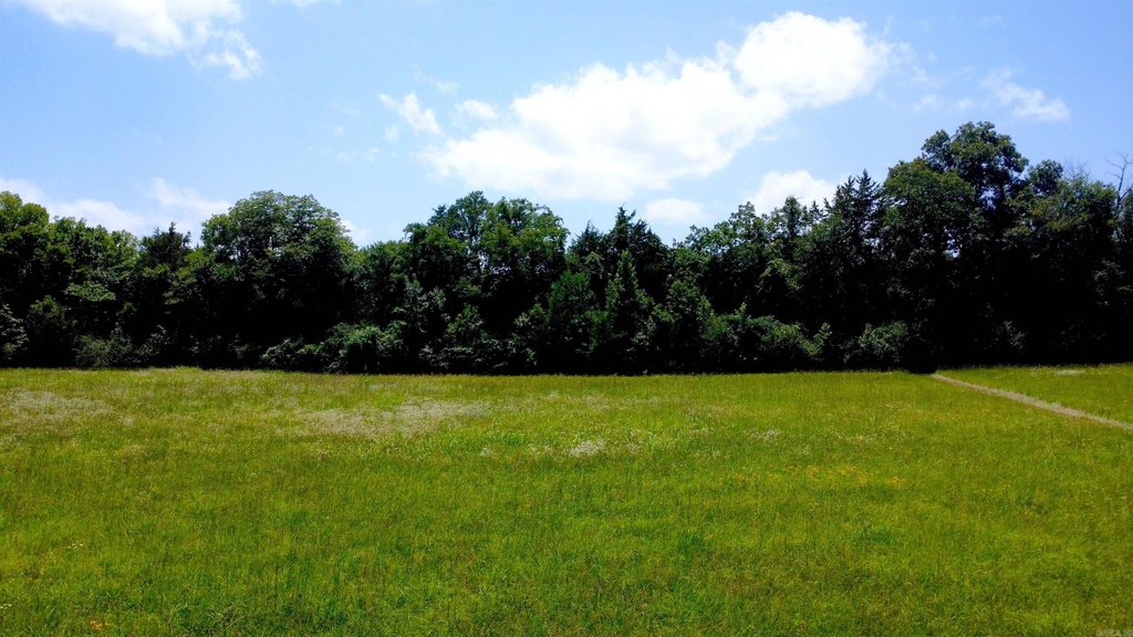 Picture 43
