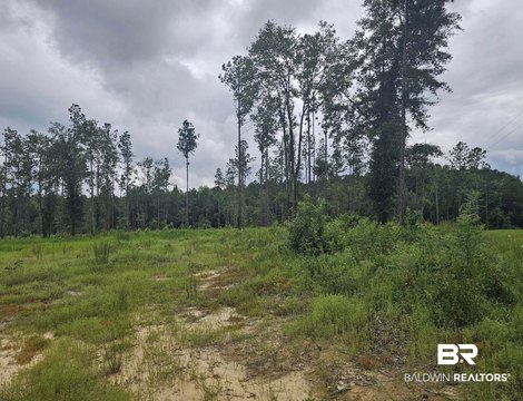Land, Perdido, AL