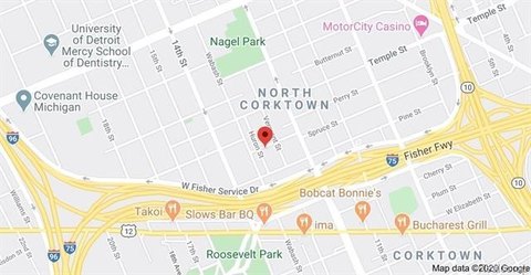 Detroit Land Development Opportunity