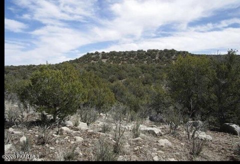 41.77 Acres Ideal for Recreation