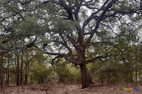 Land, Cedar Creek, TX
