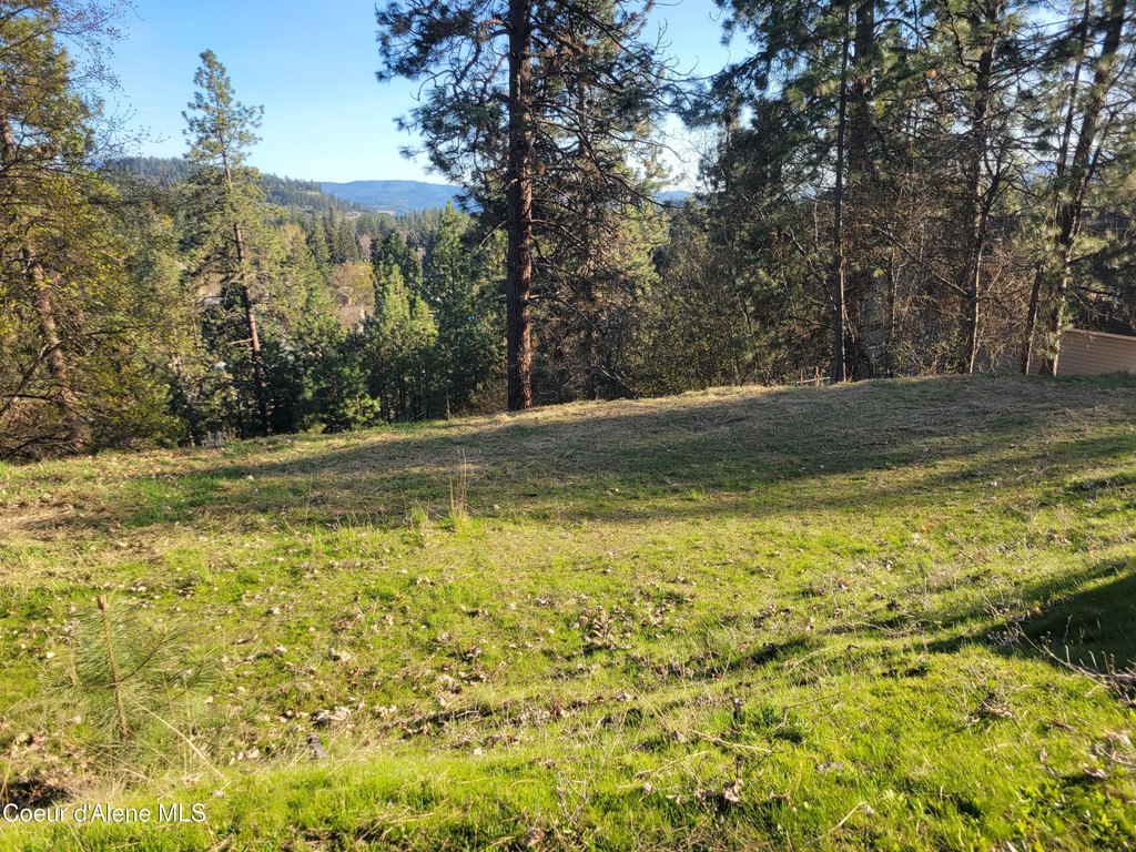 Picture 4