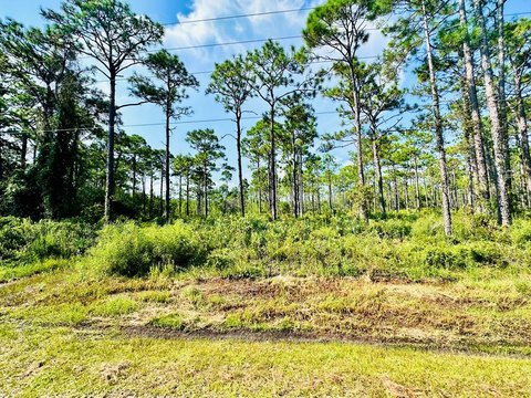 Eastpoint, Florida Land Opportunity