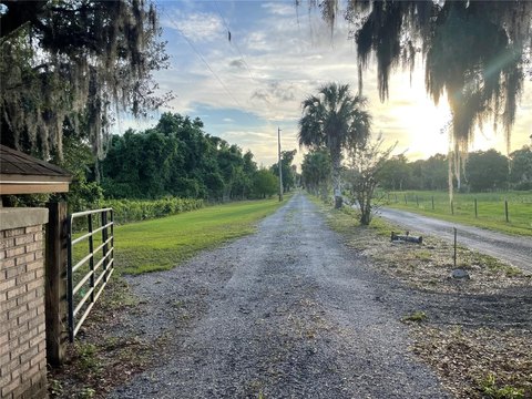20 Acres Old Florida Land