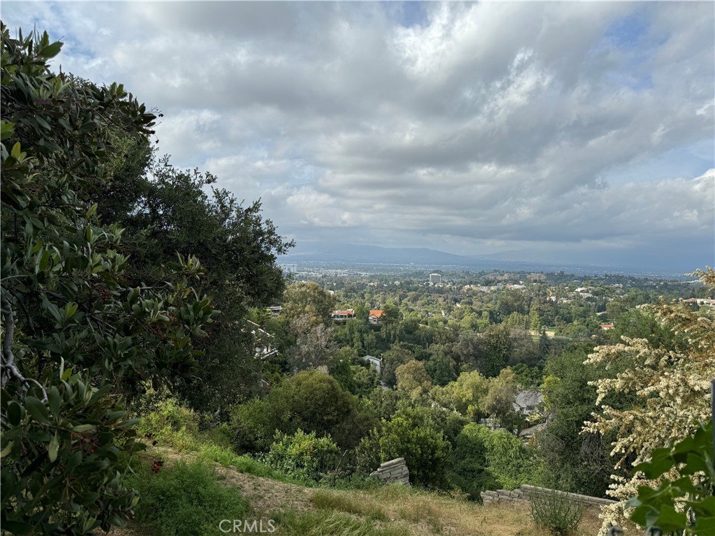 Picture 22