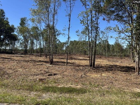 LOTS AND ACREAGE, Pomaria, SC
