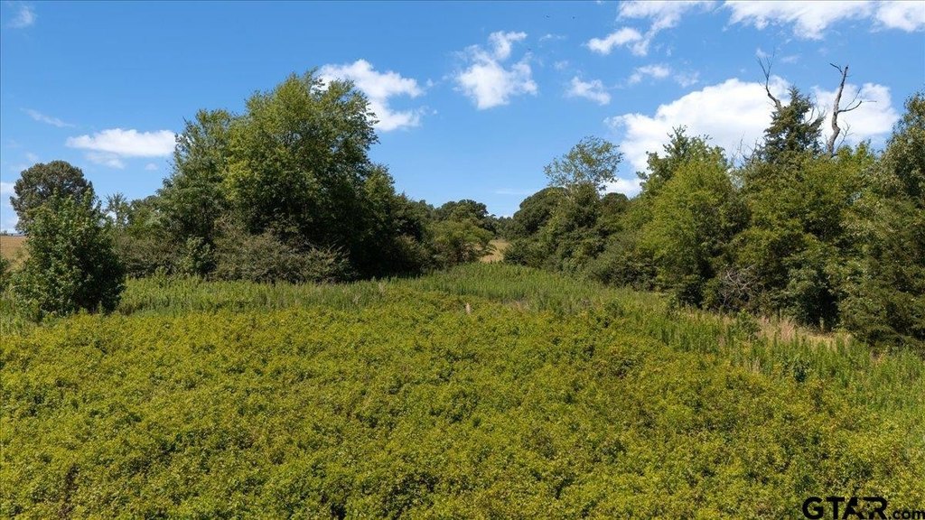 Picture 11