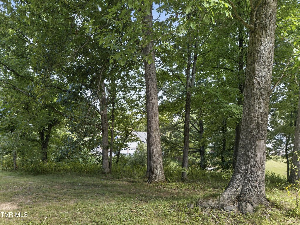 Picture 24