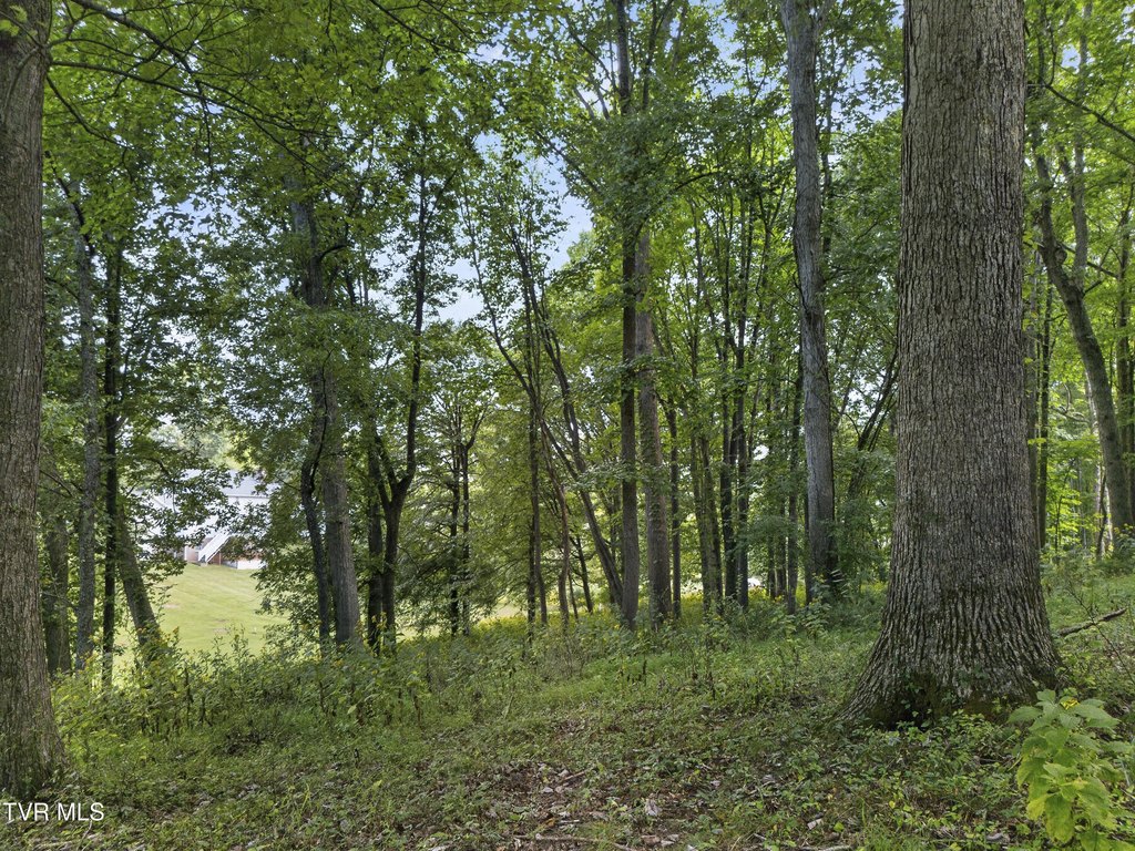 Picture 22