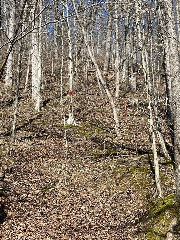 Picture 3