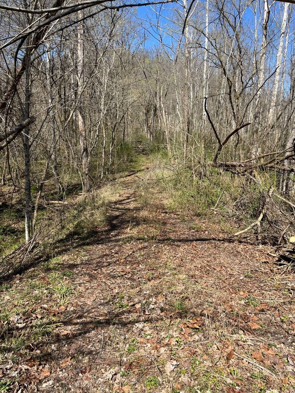 Picture 8