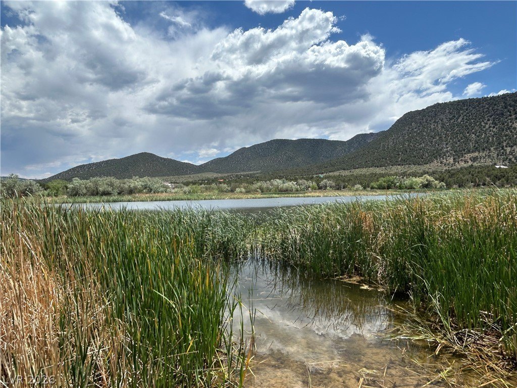 Picture 12