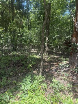 LAND - Paragould, AR