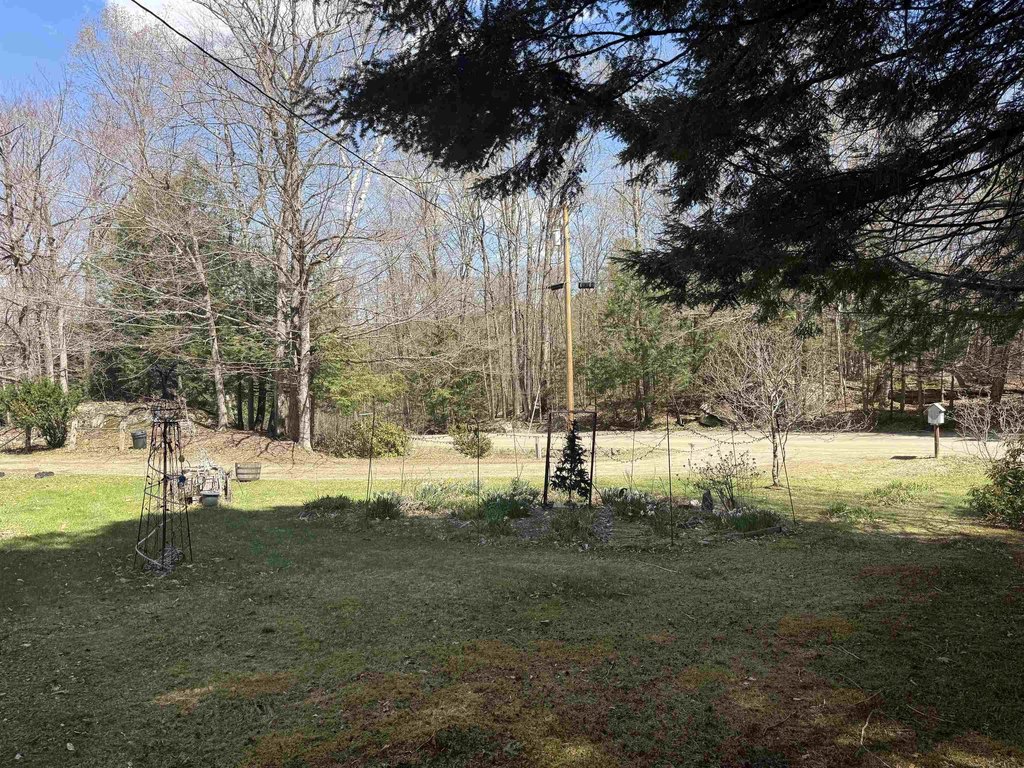 Picture 11