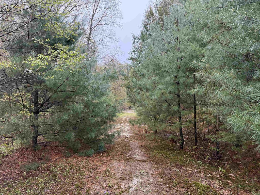 Picture 25