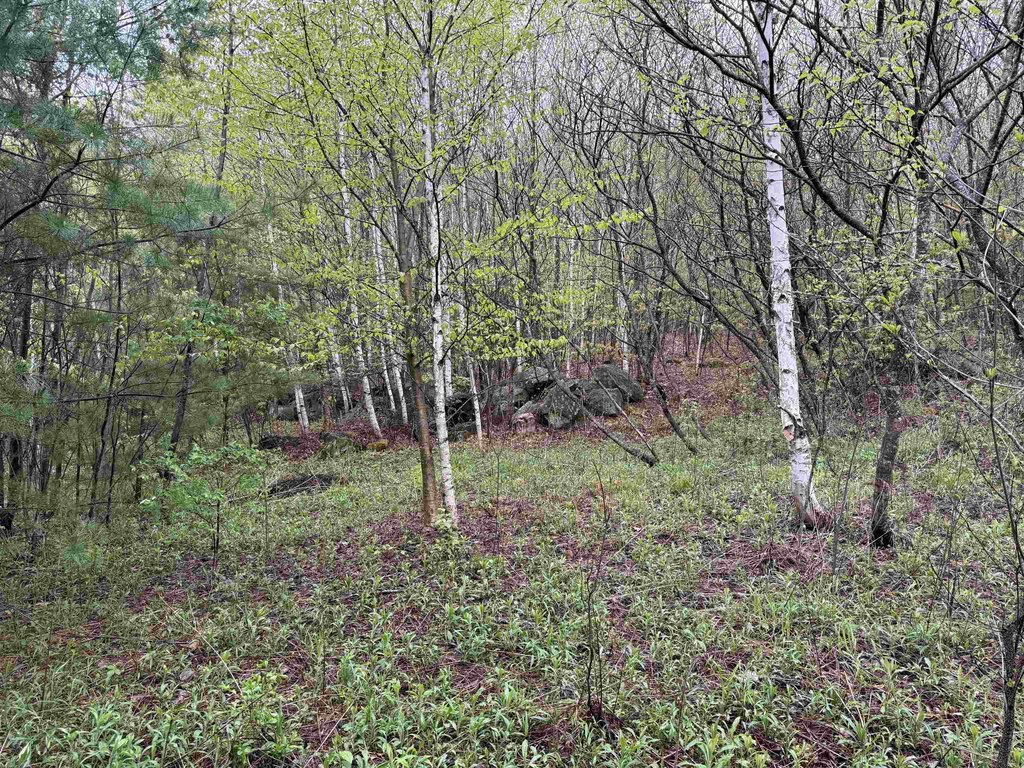 Picture 21