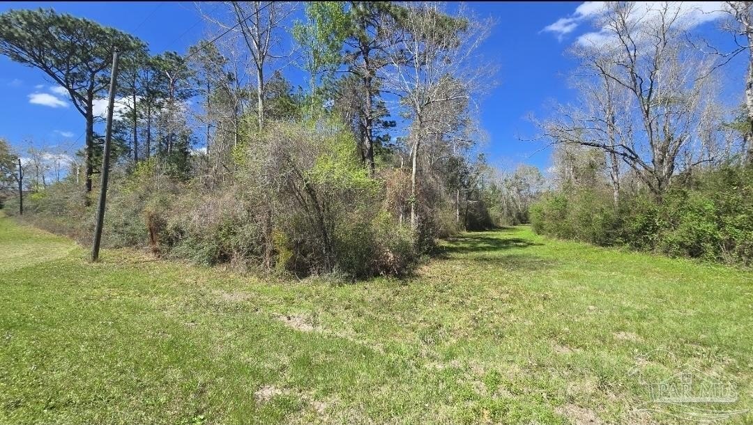Wooded Lot in Cantonment, FL