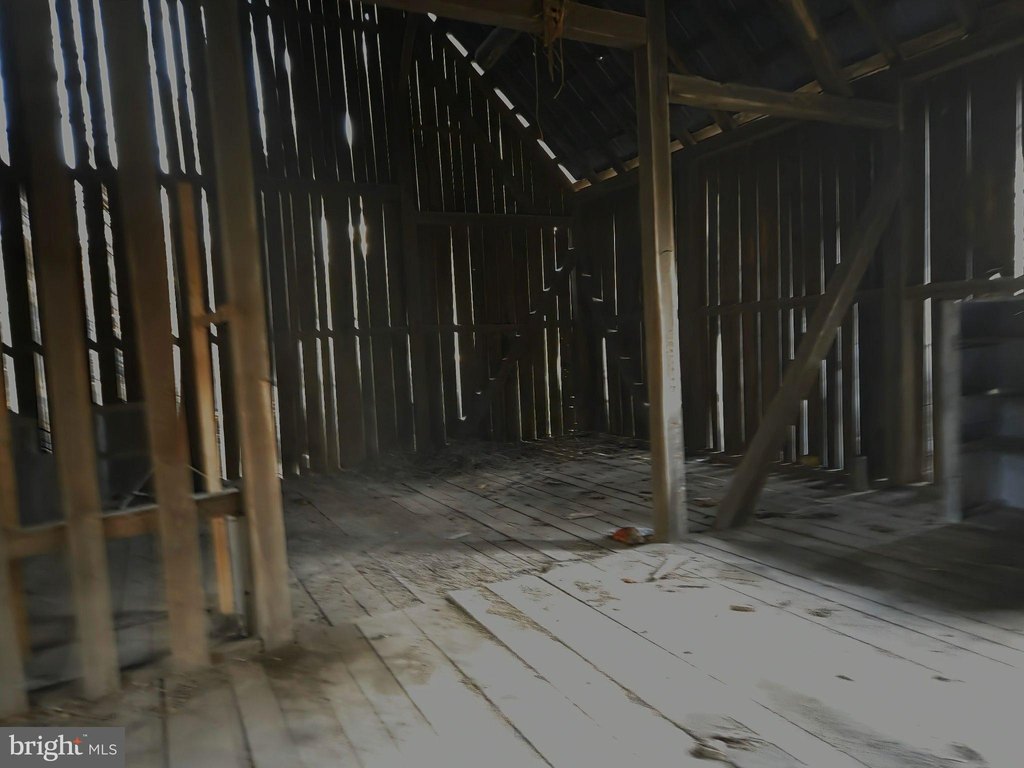 Picture 44