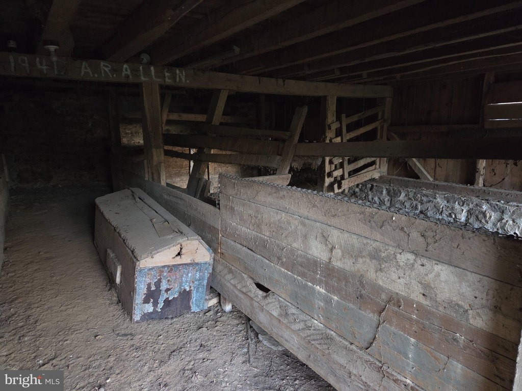 Picture 35