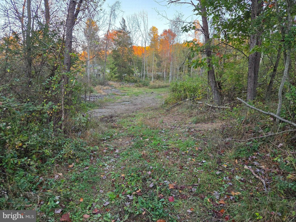 Picture 48