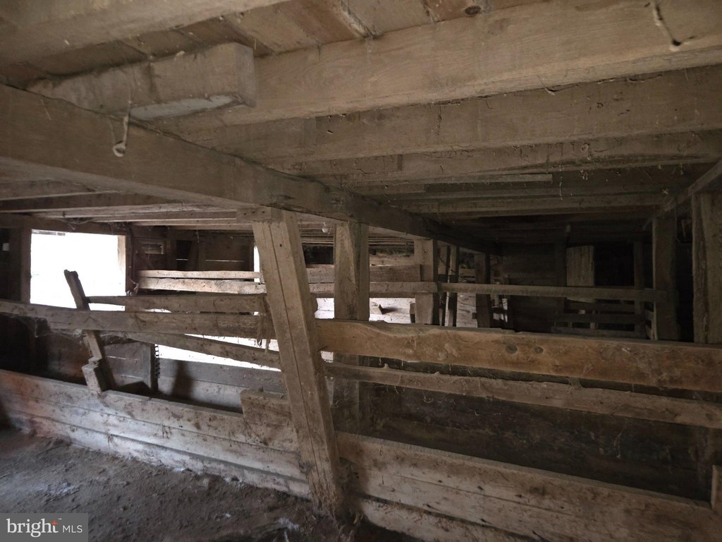 Picture 41
