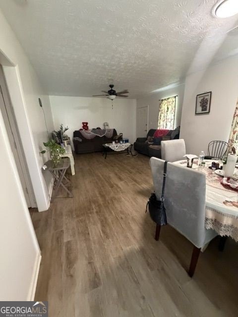 Picture 17