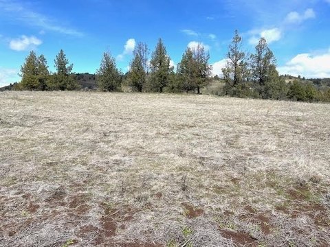 LAND - Montague, CA