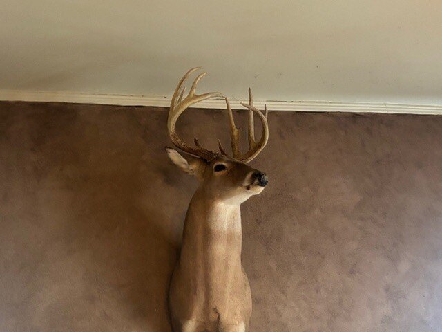 Picture 38