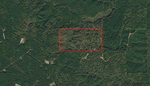 Raw Land in Caldwell Parish