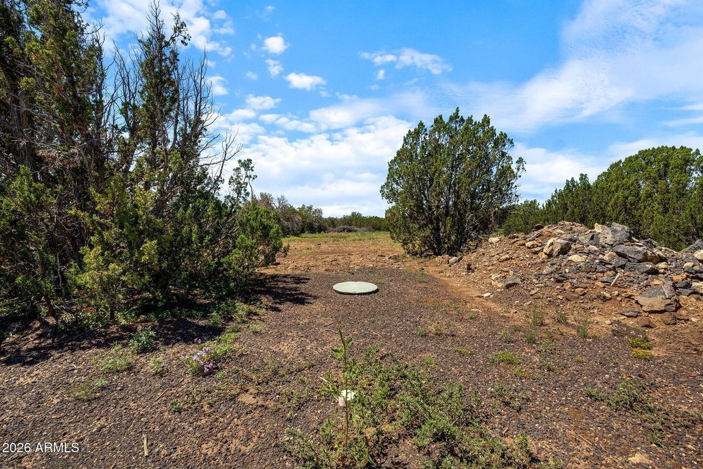 Picture 25