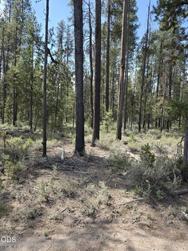 LAND - La Pine, OR