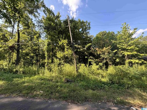 Buildable Residential Land Lots