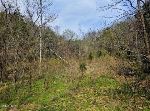 21 Acres of Versatile Land