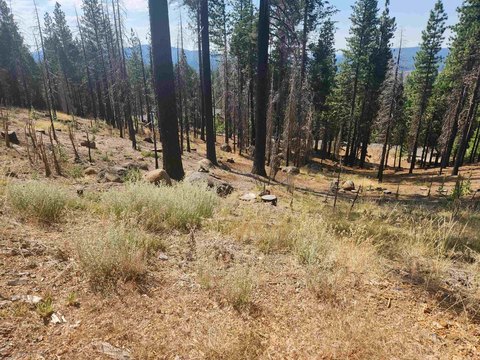 Land, Lake Almanor West, CA