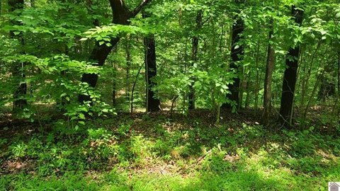 LAND - Murray, KY