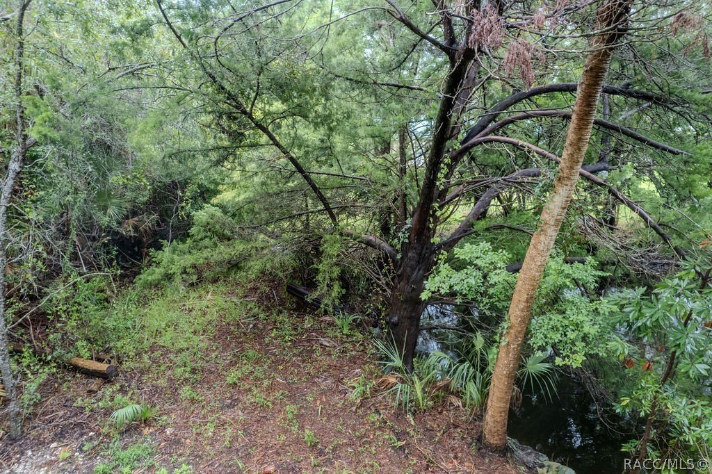 Picture 7