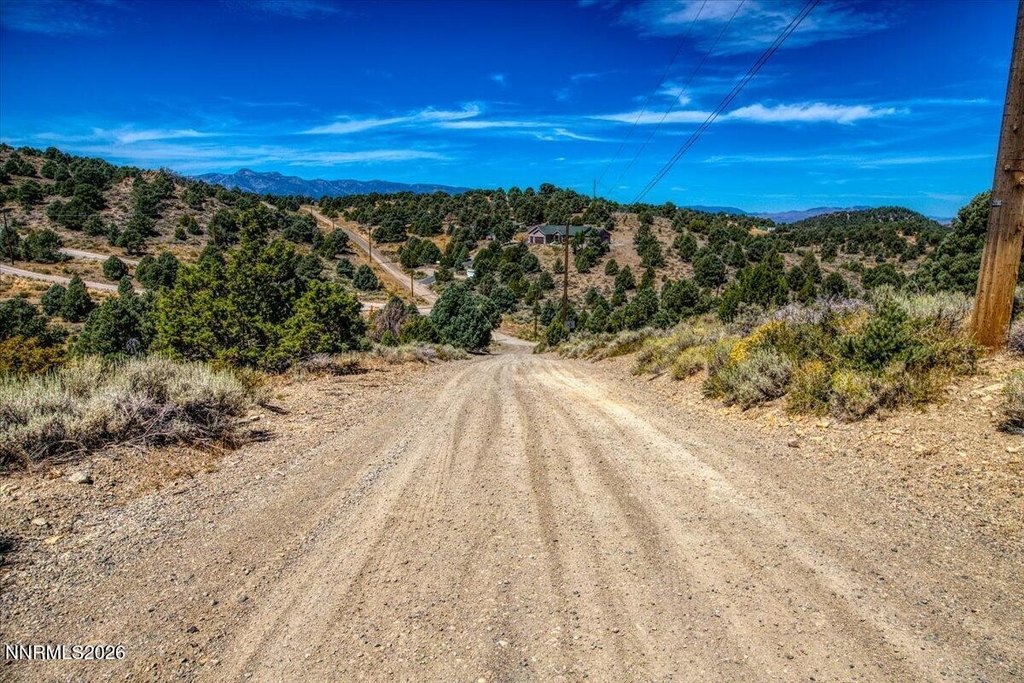Picture 3