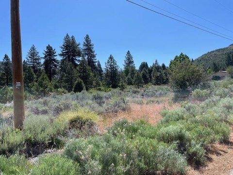 Half-Acre Lot Backing Smith Creek